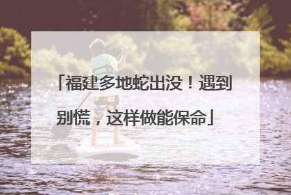 福建多地蛇出没！遇到别慌，这样做能保命