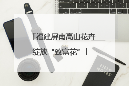 福建屏南高山花卉绽放“致富花”