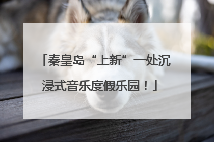 秦皇岛“上新”一处沉浸式音乐度假乐园！