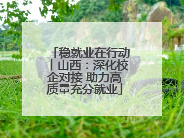 稳就业在行动丨山西：深化校企对接 助力高质量充分就业