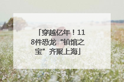 穿越亿年！118件恐龙“镇馆之宝”齐聚上海
