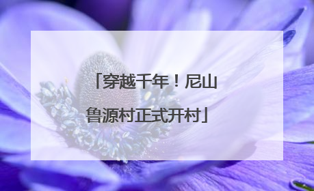 穿越千年！尼山鲁源村正式开村