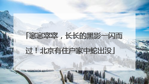 窸窸窣窣，长长的黑影一闪而过！北京有住户家中蛇出没