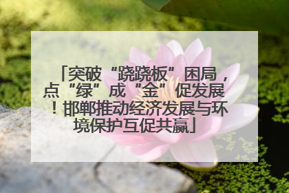 突破“跷跷板”困局，点“绿”成“金”促发展！邯郸推动经济发展与环境保护互促共赢