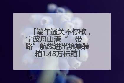 端午通关不停歇，宁波舟山港“一带一路”航线进出境集装箱1.48万标箱
