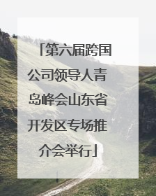 第六届跨国公司领导人青岛峰会山东省开发区专场推介会举行