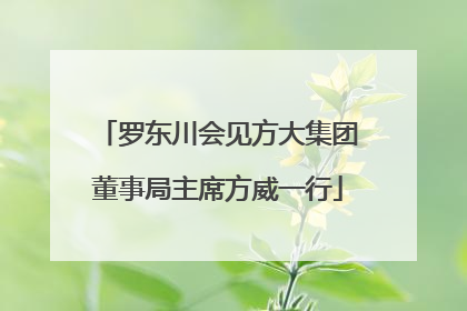 罗东川会见方大集团董事局主席方威一行
