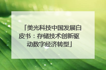 美光科技中国发展白皮书：存储技术创新驱动数字经济转型