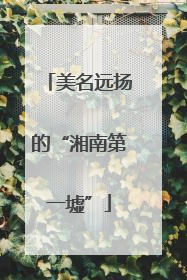 美名远扬的“湘南第一墟”