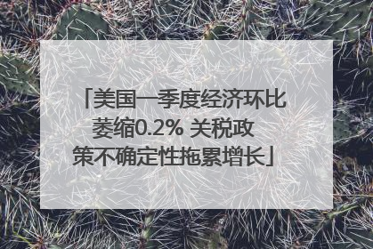 美国一季度经济环比萎缩0.2% 关税政策不确定性拖累增长