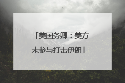 美国务卿：美方未参与打击伊朗