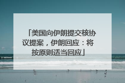 美国向伊朗提交核协议提案，伊朗回应：将按原则适当回应