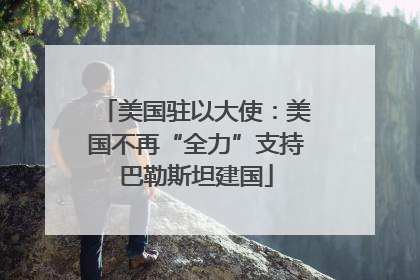 美国驻以大使：美国不再“全力”支持巴勒斯坦建国