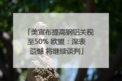 美宣布提高钢铝关税至50% 欧盟：深表遗憾 将继续谈判