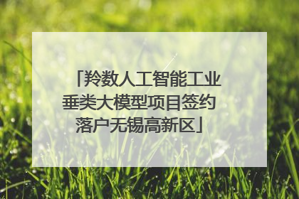 羚数人工智能工业垂类大模型项目签约落户无锡高新区