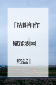 精耕细作 赋能农网终端