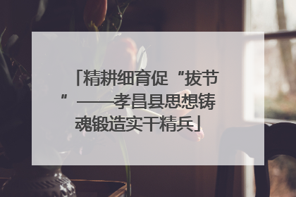 精耕细育促“拔节”——孝昌县思想铸魂锻造实干精兵