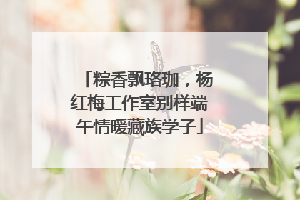 粽香飘珞珈，杨红梅工作室别样端午情暖藏族学子