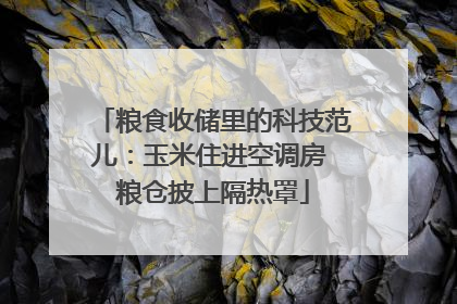 粮食收储里的科技范儿：玉米住进空调房 粮仓披上隔热罩