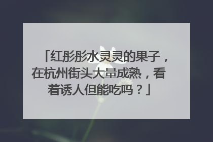 红彤彤水灵灵的果子，在杭州街头大量成熟，看着诱人但能吃吗？
