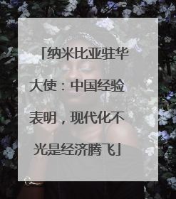 纳米比亚驻华大使：中国经验表明，现代化不光是经济腾飞