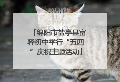 绵阳市盐亭县富驿初中举行“五四”庆祝主题活动