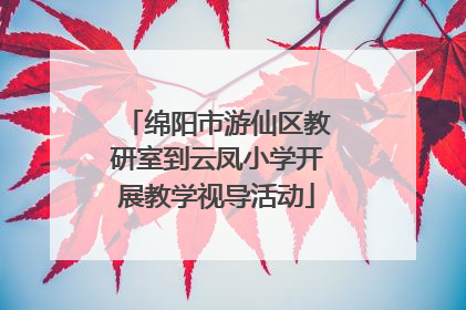 绵阳市游仙区教研室到云凤小学开展教学视导活动