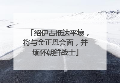绍伊古抵达平壤，将与金正恩会面，并缅怀朝鲜战士