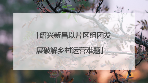 绍兴新昌以片区组团发展破解乡村运营难题