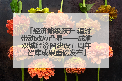 经济能级跃升 辐射带动效应凸显——成渝双城经济圈建设五周年智库成果重磅发布