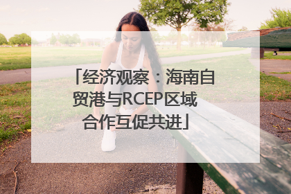 经济观察：海南自贸港与RCEP区域合作互促共进