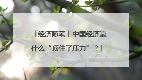 经济随笔丨中国经济靠什么“顶住了压力”？
