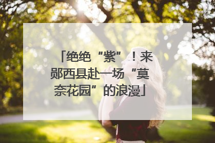 绝绝“紫”！来郧西县赴一场“莫奈花园”的浪漫
