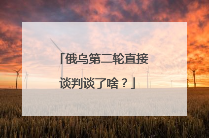 俄乌第二轮直接谈判谈了啥？