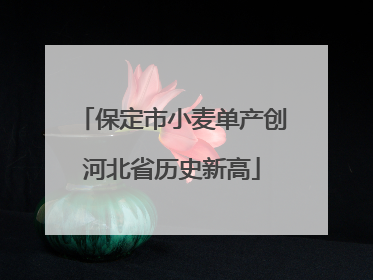 保定市小麦单产创河北省历史新高