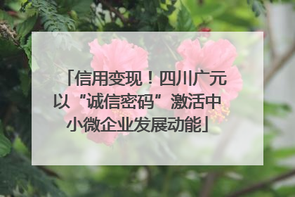 信用变现！四川广元以“诚信密码”激活中小微企业发展动能