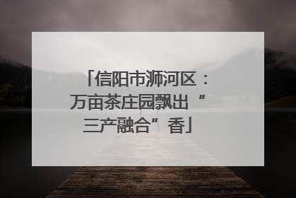 信阳市浉河区：万亩茶庄园飘出“三产融合”香