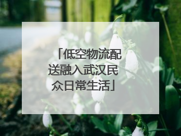 低空物流配送融入武汉民众日常生活