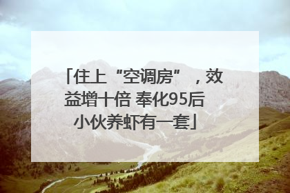 住上“空调房”，效益增十倍 奉化95后小伙养虾有一套