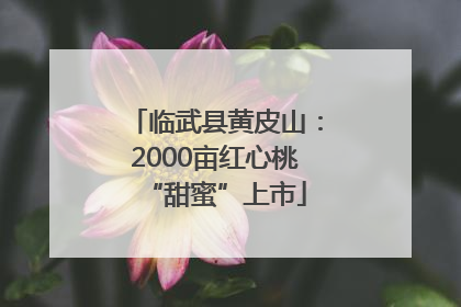 临武县黄皮山：2000亩红心桃“甜蜜”上市