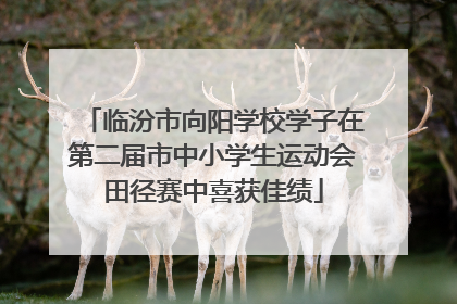 临汾市向阳学校学子在第二届市中小学生运动会田径赛中喜获佳绩