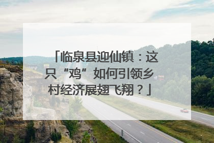 临泉县迎仙镇：这只“鸡”如何引领乡村经济展翅飞翔？