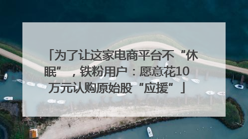 为了让这家电商平台不“休眠”，铁粉用户：愿意花10万元认购原始股“应援”