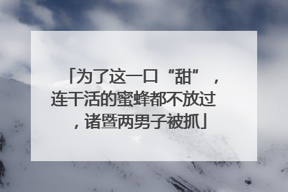 为了这一口“甜”，连干活的蜜蜂都不放过，诸暨两男子被抓