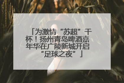 为激情“苏超”干杯！扬州青岛啤酒嘉年华在广陵新城开启“足球之夜”