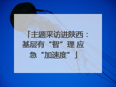 主题采访进陕西：基层有“智”理 应急“加速度”