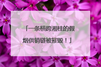 一条横跨湘桂的假烟供销链被摧毁！