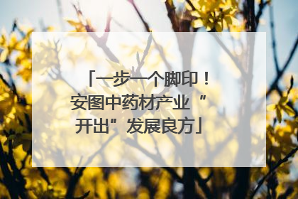 一步一个脚印！安图中药材产业“开出”发展良方