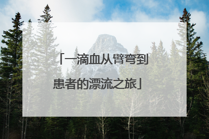 一滴血从臂弯到患者的漂流之旅