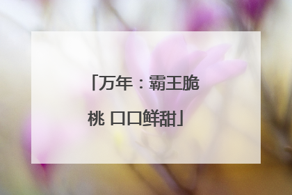 万年：霸王脆桃 口口鲜甜